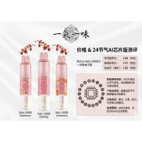 比熊Solo 15000口一次性电子烟价格_24节气AI芯片版测评